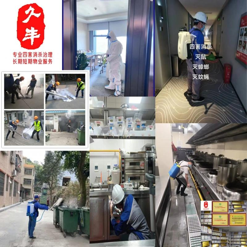 久丰专业四害消杀承接大小工程灭鼠灭蟑除蚊蝇防治白蚁安心无忧享健康