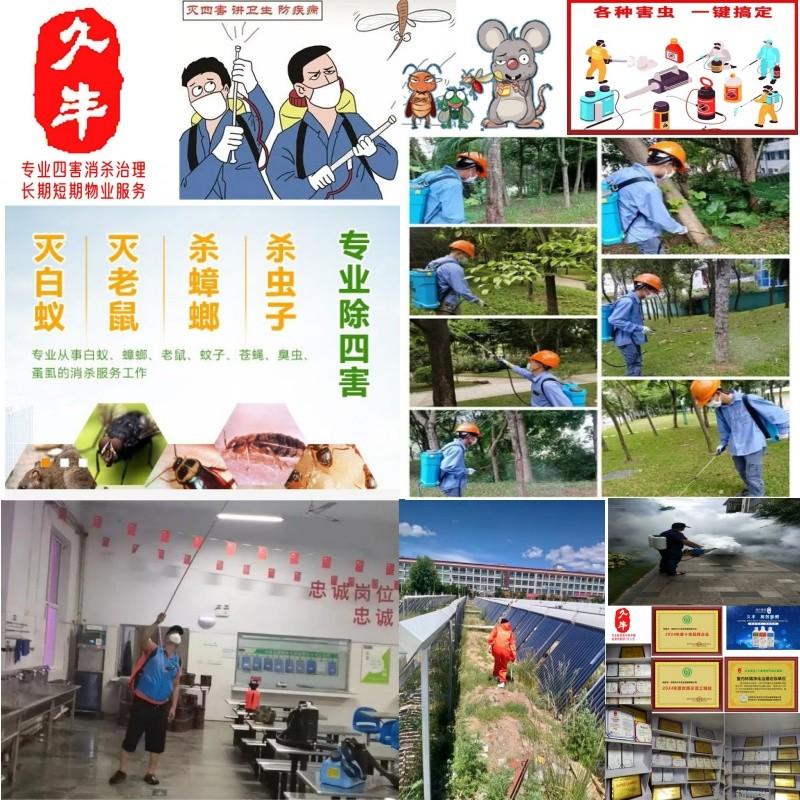 久丰专业四害消杀承接大小工程灭鼠灭蟑除蚊蝇防治白蚁安心无忧享健康